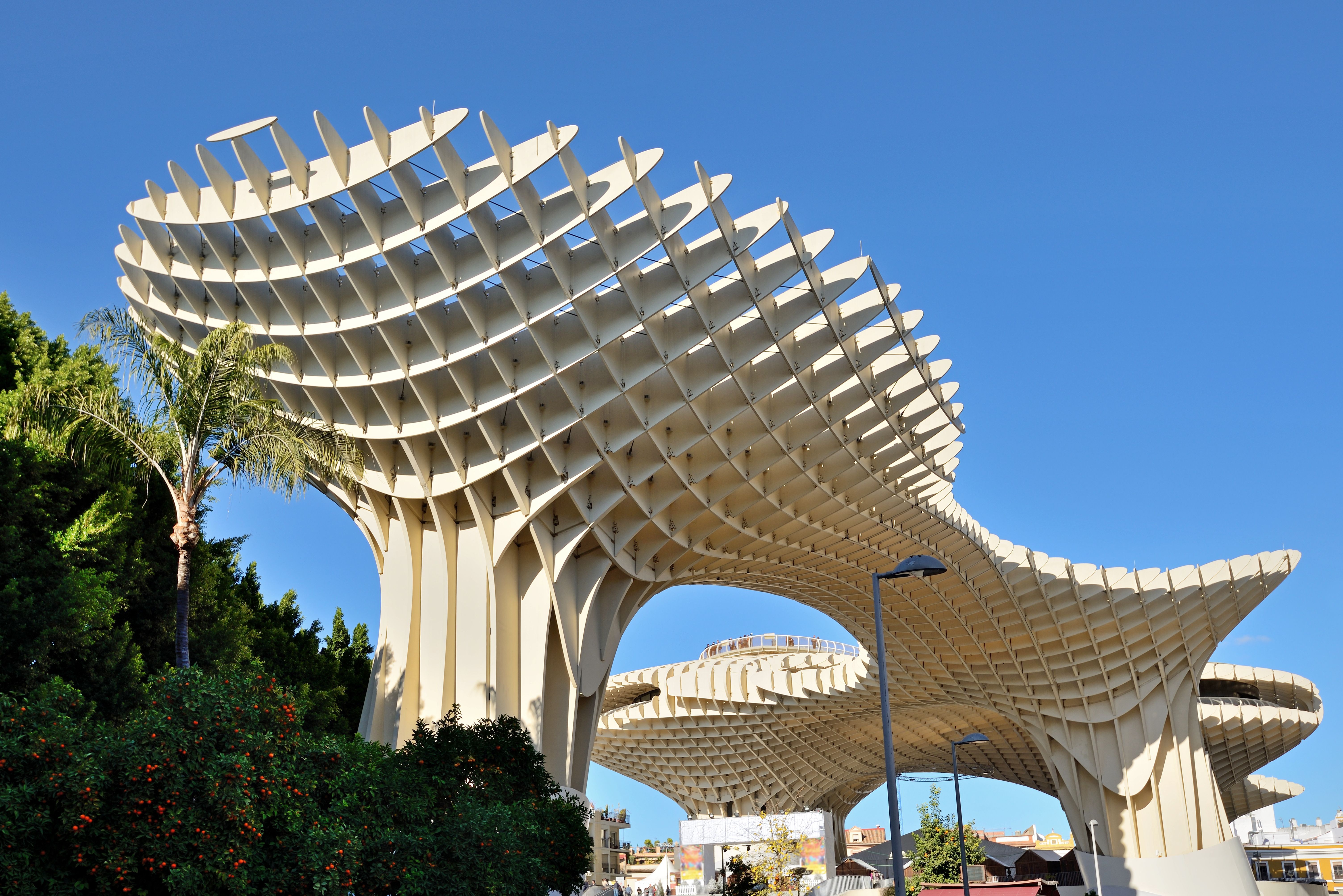 Setas de sevilla